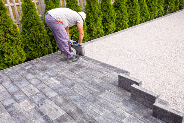 Best Driveway Paving Contractor  in Brookfield, IL