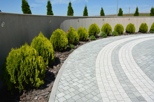 Best Brick Driveway Pavers  in Brookfield, IL